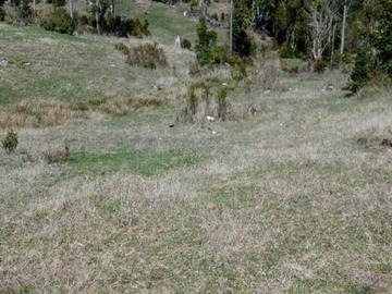 Venta / Parcela / Carahue