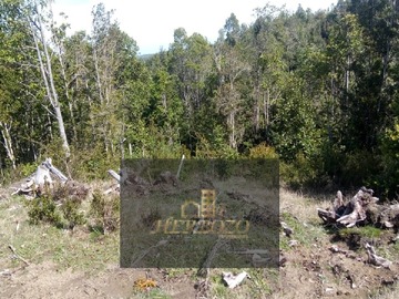 Imagen 9