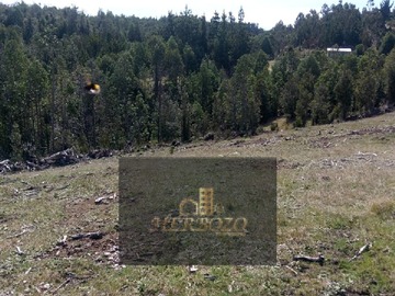 Imagen 14