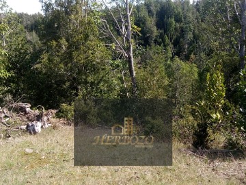 Imagen 10