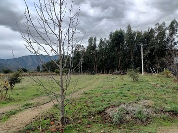 Imagen 13