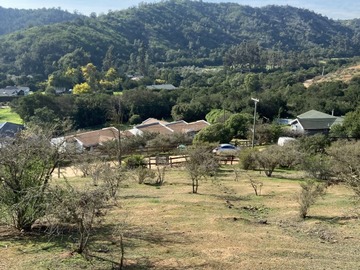 Imagen 14