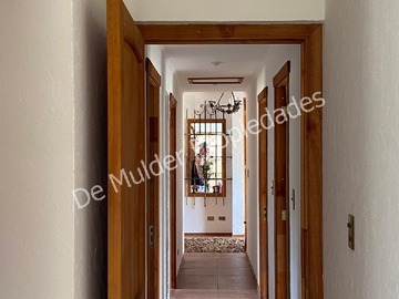 Imagen 16