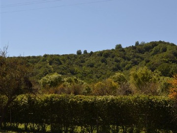 Imagen 8