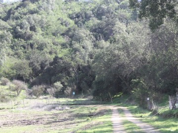 Imagen 6
