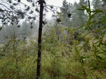 Imagen 7