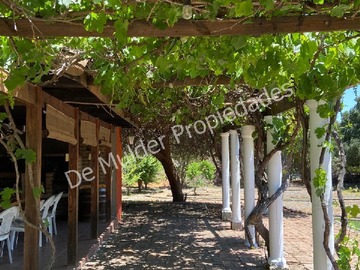 Imagen 5