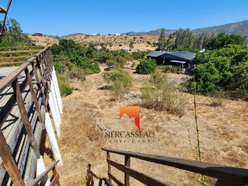 Imagen 12