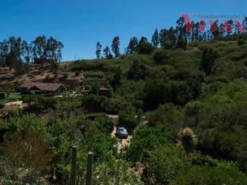Imagen 23