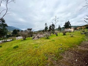 Imagen 7