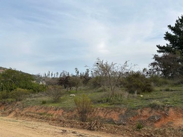 Imagen 17