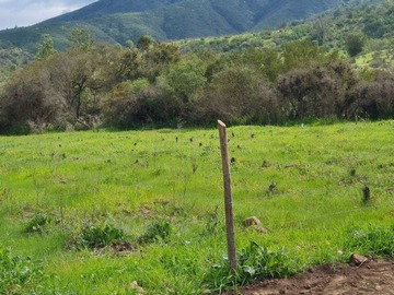 Imagen 18