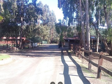 Imagen 8