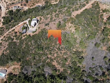 Imagen 9
