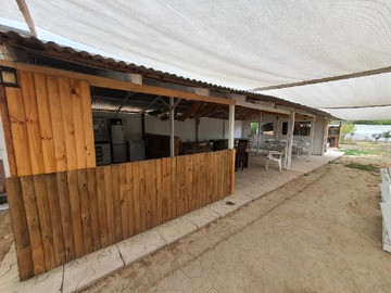 Imagen 19
