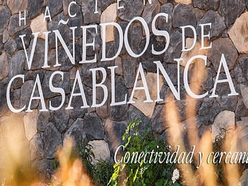 Imagen 6