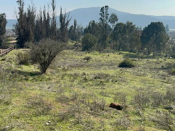 Imagen 14