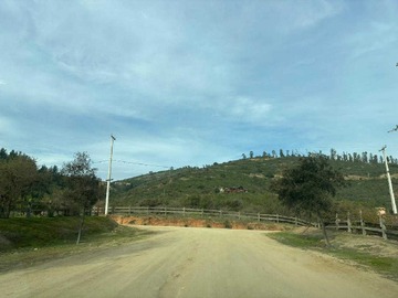 Imagen 13
