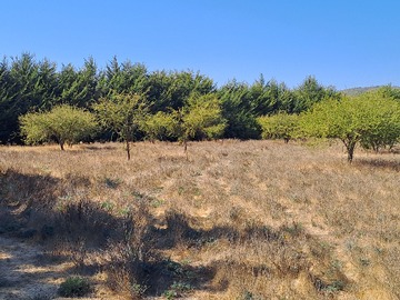 Venta / Parcela / Casablanca