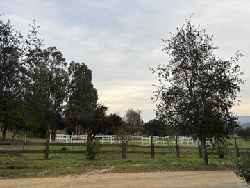 Imagen 19