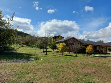 Imagen 13