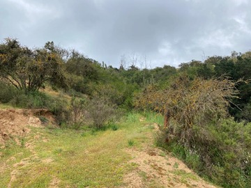 Venta / Parcela / Casablanca