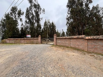 Imagen 28