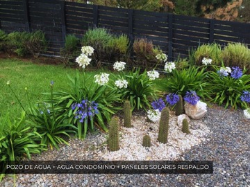 Imagen 20