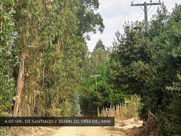 Imagen 9