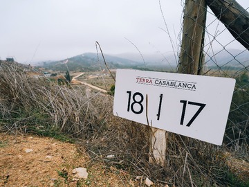 Imagen 10