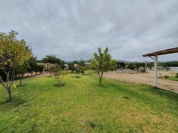 Imagen 11