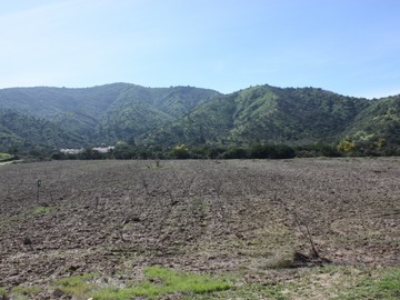 Imagen 11