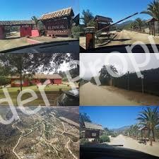 Imagen 31