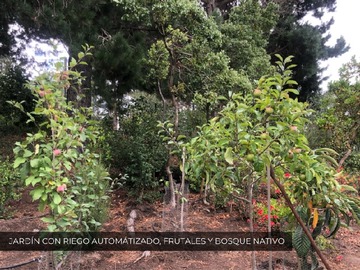 Imagen 28
