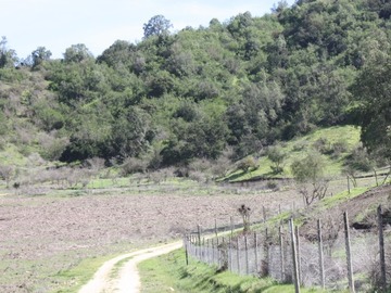 Imagen 5
