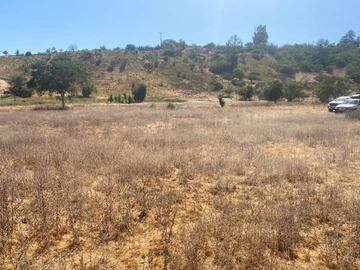 Venta / Parcela / Casablanca