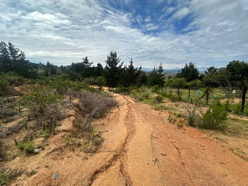 Imagen 9