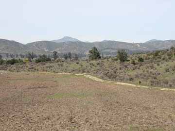 Imagen 8