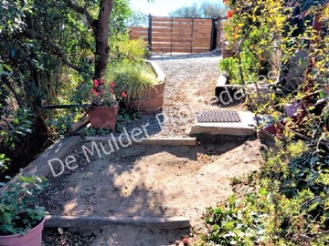 Imagen 12