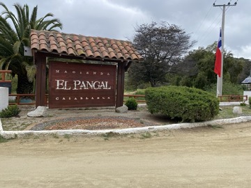 Venta / Parcela / Casablanca