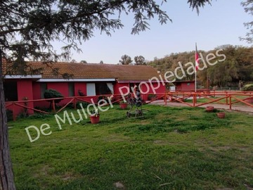 Imagen 30