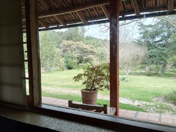 Imagen 5