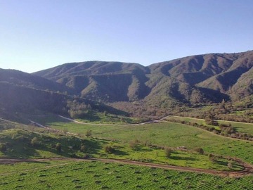 Imagen 6