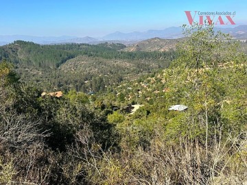 Imagen 37