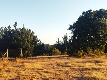 Venta / Parcela / Casablanca