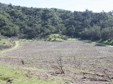 Imagen 12
