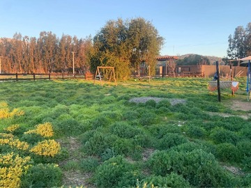 Venta / Parcela / Casablanca
