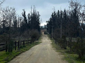 Imagen 9