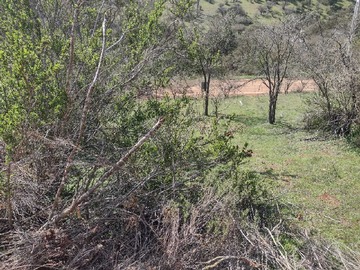Imagen 11