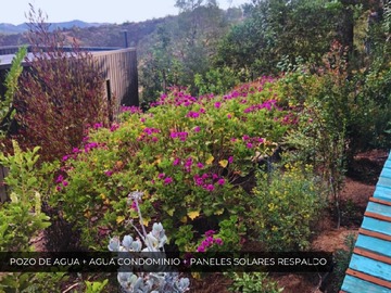 Imagen 21